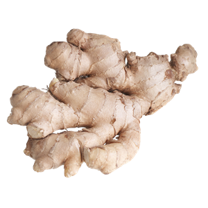 Ginger PNG-16787